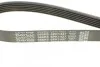 <strong>Ремінь поліклиновий DAYCO 6PK1437 (фото 4)</strong>