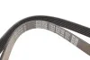 <strong>Ремінь поліклиновий DAYCO 6PK1450 (фото 3)</strong>