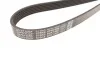 <strong>Ремінь генератора Ducato 2.0JTD 01> (ALT, AC) DAYCO 6PK1468 (фото 3)</strong>