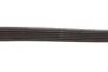 <strong>Ремінь генератора Ducato 2.0JTD 01> (ALT, AC) DAYCO 6PK1468 (фото 4)</strong>
