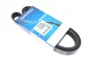 <strong>Ремінь генератора Mitsubishi L200 2.5 DI-D 05-15 DAYCO 6PK1500 (фото 1)</strong>