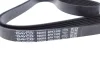 <strong>Ремінь генератора Mitsubishi L200 2.5 DI-D 05-15 DAYCO 6PK1500 (фото 2)</strong>