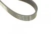 <strong>Ремінь поліклиновий DAYCO 6PK1510 (фото 3)</strong>