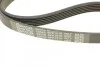<strong>Ремінь поліклиновий DAYCO 6PK1510 (фото 4)</strong>