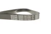 <strong>Доріжковий пас DAYCO 6PK1525S (фото 4)</strong>