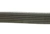 <strong>Ремінь генератора Citroen Berlingo/Peugeot Partner 1.1-1.6 96-11 DAYCO 6PK1558 (фото 2)</strong>