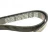 <strong>Ремінь генератора Citroen Berlingo/Peugeot Partner 1.1-1.6 96-11 DAYCO 6PK1558 (фото 4)</strong>