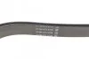 <strong>Ремінь генератора VW Crafter 2.0 TDI 11-16 DAYCO 6PK1610HD (фото 3)</strong>