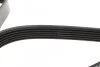 <strong>Ремінь генератора VW Crafter 2.0 TDI 11-16 DAYCO 6PK1610HD (фото 4)</strong>