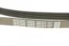 <strong>Ремінь поліклиновий DAYCO 6PK1613 (фото 4)</strong>