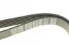 <strong>Ремінь поліклиновий DAYCO 6PK1660 (фото 4)</strong>