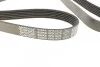 <strong>Ремінь генератора Jumper/Ducato/Transit/Boxer 2.2 HDi/MJET/TDCi 06- DAYCO 6PK1670 (фото 2)</strong>