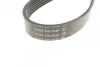<strong>Ремінь генератора Jumper/Ducato/Transit/Boxer 2.2 HDi/MJET/TDCi 06- DAYCO 6PK1670 (фото 3)</strong>