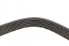 <strong>Ремінь генератора Jumper/Ducato/Transit/Boxer 2.2 HDi/MJET/TDCi 06- DAYCO 6PK1670 (фото 4)</strong>