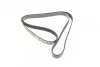 <strong>Ремінь генератора Jumper/Ducato/Transit/Boxer 2.2 HDi/MJET/TDCi 06- DAYCO 6PK1670 (фото 5)</strong>