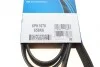 <strong>Ремінь генератора Jumper/Ducato/Transit/Boxer 2.2 HDi/MJET/TDCi 06- DAYCO 6PK1670 (фото 6)</strong>