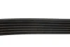 <strong>Ремінь поліклиновий DAYCO 6PK1680 (фото 3)</strong>