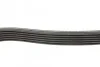 <strong>Ремінь поліклиновий DAYCO 6PK1705 (фото 2)</strong>