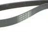 <strong>Ремінь поліклиновий DAYCO 6PK1705 (фото 3)</strong>