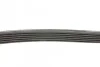 <strong>Ремінь поліклиновий DAYCO 6PK1710 (фото 2)</strong>