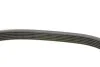 <strong>Ремінь поліклиновий DAYCO 6PK1725 (фото 3)</strong>