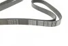 <strong>Ремінь поліклиновий DAYCO 6PK1750 (фото 2)</strong>