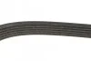 <strong>Ремінь поліклиновий DAYCO 6PK1750 (фото 3)</strong>