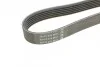 <strong>Ремінь поліклиновий DAYCO 6PK1755 (фото 3)</strong>