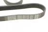 <strong>Ремінь поліклиновий DAYCO 6PK1755 (фото 4)</strong>