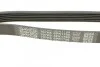 <strong>Ремінь поліклиновий DAYCO 6PK1795 (фото 4)</strong>