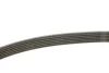 <strong>Ремінь поліклиновий DAYCO 6PK1830 (фото 3)</strong>