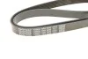 <strong>Ремінь поліклиновий DAYCO 6PK1830 (фото 4)</strong>