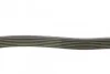 <strong>Ремень генератора Alfa Romeo 147/156/166 2.0/3.2 00-10 DAYCO 6PK1960 (фото 2)</strong>