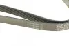 <strong>Ремень генератора Alfa Romeo 147/156/166 2.0/3.2 00-10 DAYCO 6PK1960 (фото 3)</strong>