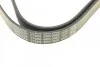 <strong>Ремень генератора Alfa Romeo 147/156/166 2.0/3.2 00-10 DAYCO 6PK1960 (фото 4)</strong>