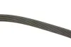 <strong>Ремінь генератора MB OM601/602 88-96 / VW Crafter 2.5 TDI 06-13 DAYCO 6PK2000 (фото 3)</strong>