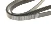<strong>Ремінь генератора MB OM601/602 88-96 / VW Crafter 2.5 TDI 06-13 DAYCO 6PK2000 (фото 4)</strong>