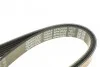 <strong>Ремінь генератора MB Bus/Sprinter/W638 OM601/602 88-00 DAYCO 6PK2020 (фото 3)</strong>