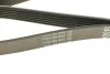 <strong>Ремінь генератора MB Bus/Sprinter/W638 OM601/602 88-00 DAYCO 6PK2020 (фото 4)</strong>