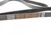 <strong>Ремінь полікліновий DAYCO 6PK2080HD (фото 3)</strong>
