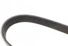 <strong>Ремінь полікліновий DAYCO 6PK2080HD (фото 4)</strong>