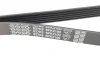 <strong>Ремінь поліклиновий DAYCO 6PK2100 (фото 3)</strong>