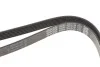<strong>Ремінь поліклиновий DAYCO 6PK2120 (фото 4)</strong>