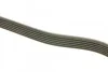 <strong>Ремінь поліклінової Dayco DAYCO 6PK2120HD (фото 2)</strong>