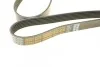 <strong>Ремінь поліклінової Dayco DAYCO 6PK2120HD (фото 4)</strong>