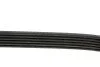 <strong>Ремінь поліклиновий DAYCO 6PK2135 (фото 3)</strong>