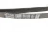 <strong>Ремінь генератора MB Sprinter OM602 95-00 DAYCO 6PK2150S (фото 3)</strong>