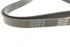 <strong>Ремінь поліклиновий DAYCO 6PK2155S (фото 2)</strong>