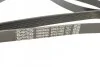 <strong>Ремінь поліклиновий DAYCO 6PK2155S (фото 3)</strong>