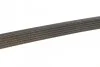 <strong>Ремінь поліклиновий DAYCO 6PK2155S (фото 4)</strong>